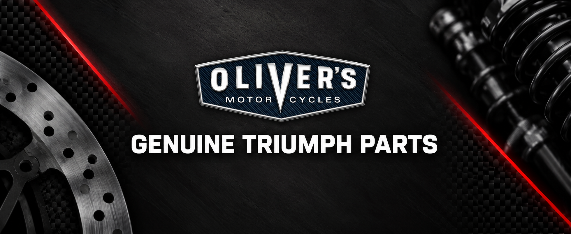 Genuine Triumph Daytona 660 Parts